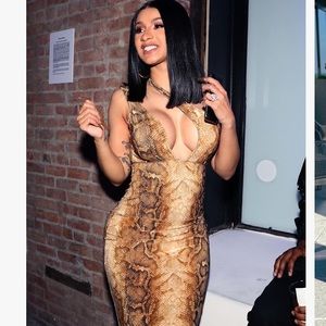 Snake Print Midi Dress